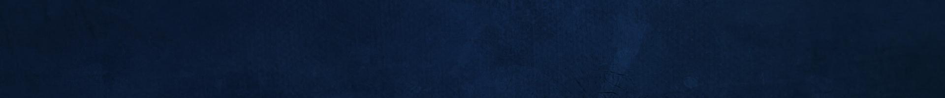 Navy Banner