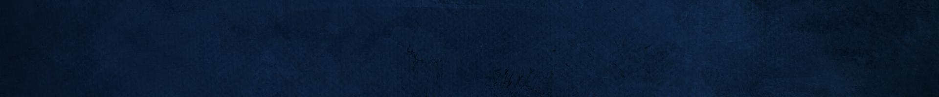 Navy Banner