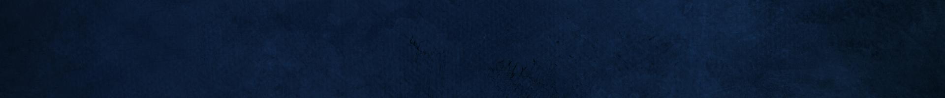 NAvy Banner