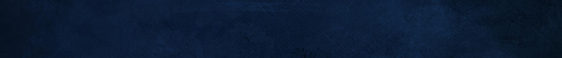 Navy Banner