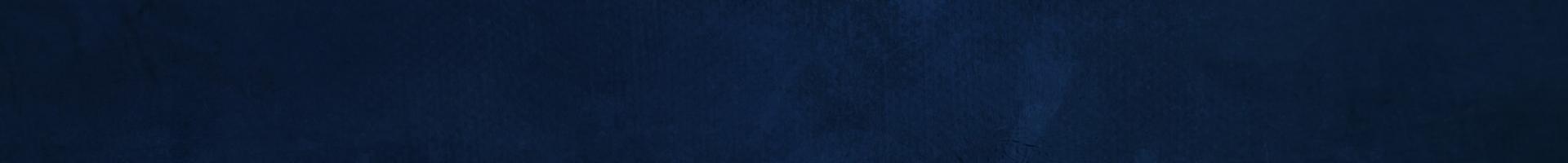 Navy Banner