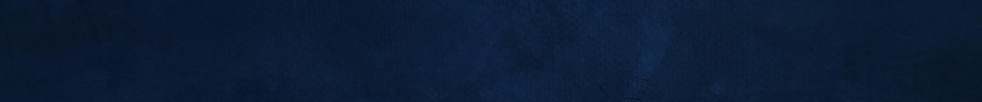 Navy Banner